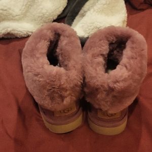 Never Worn Ugg Classic Short II Bougainvillea size 8